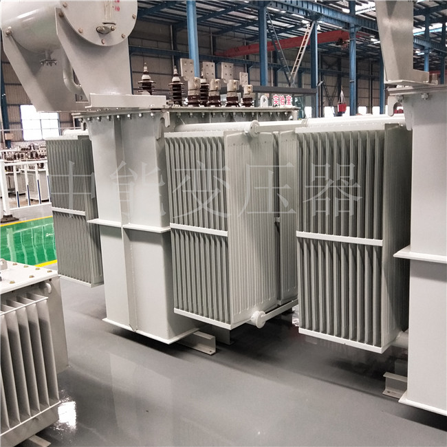 遵义S13-800KVA/6KV/0.4KV变压器