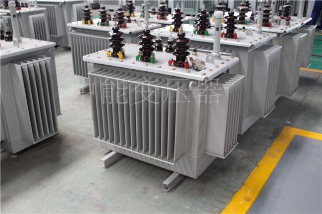 遵义S22-250KVA/10KV变压器